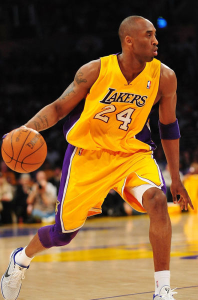 体组织起来 体组织起来